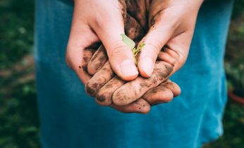 Real Decreto Ley de medidas urgentes en materia de agricultura y alimentación