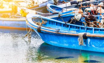 pesca. Foto Freepik
