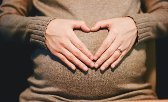 Prestación de Riesgo durante el Embarazo o Lactancia Natural y ERTE's