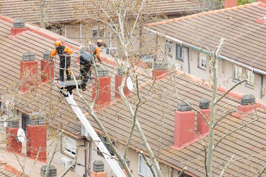 Dos personas trabajadoras en una carretilla elevadora están podando las ramas altas de un árbol en una zona residencial de la ciudad